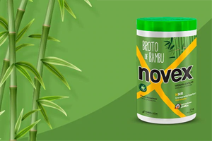 Broto de Bambu