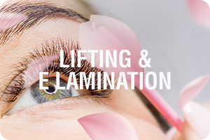 Lifting e Lamination