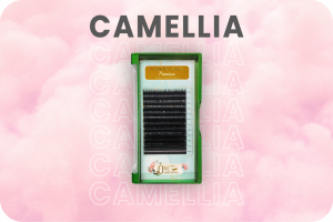 Camellia