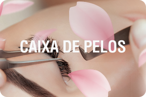 Caixas de Pelos
