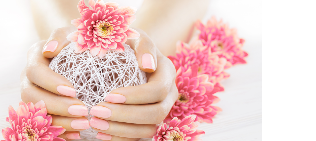 Transição Gel para Polygel