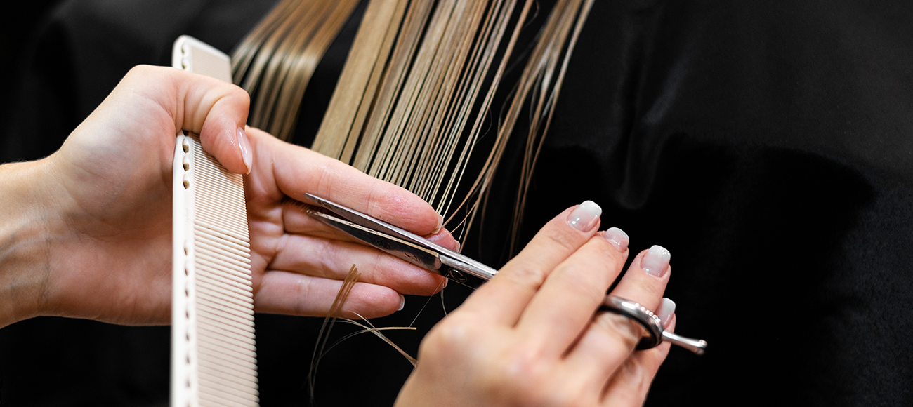 Projeto Cabelo SB Business